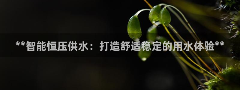 球友会官网