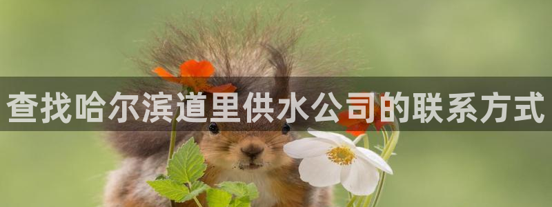 球友会登录不上的原因