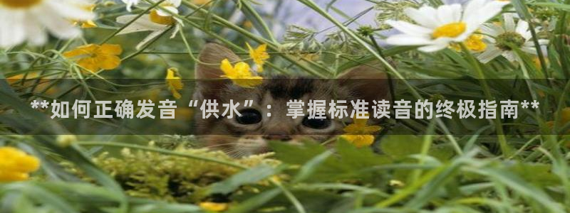 qy球友会体育怎么样