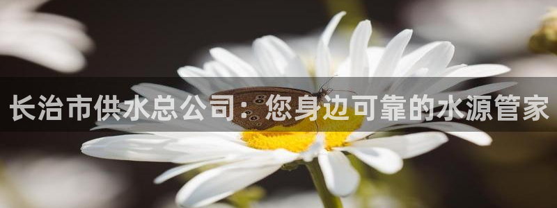 球友会是不是大平台