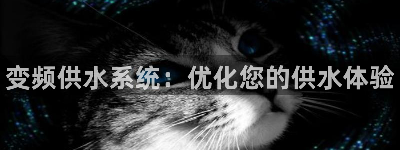 qy球友会体育官网下载