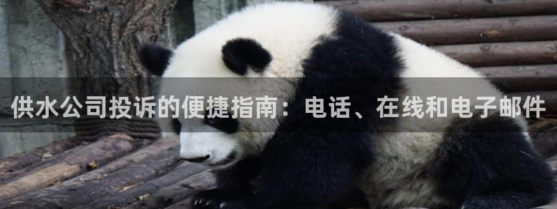 球友会体育