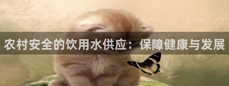 球友会的会字是哪个会