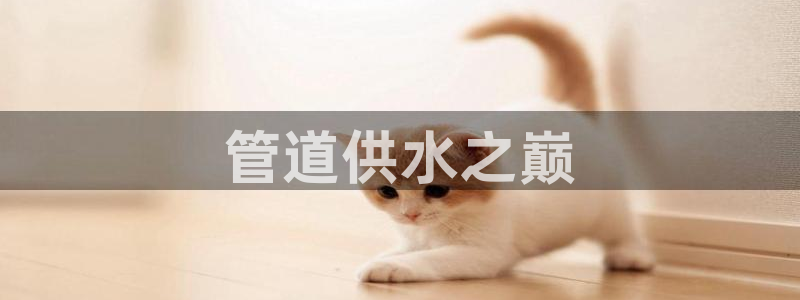 qy球友会体育怎么样