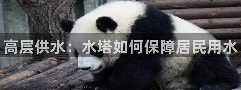 球友会app官方网站下载