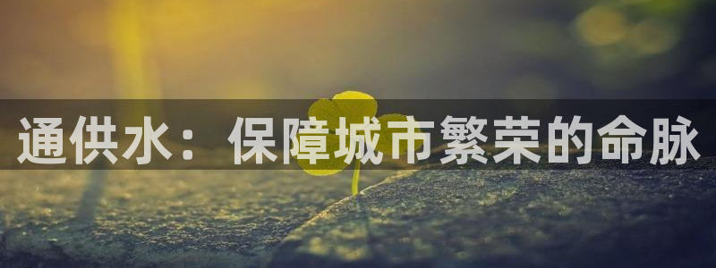 球友会app介绍