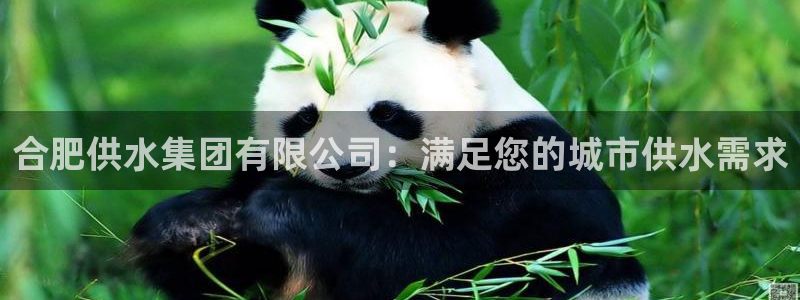 球友会是不是大平台