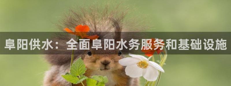 球友会体育app官方版下载安装苹果