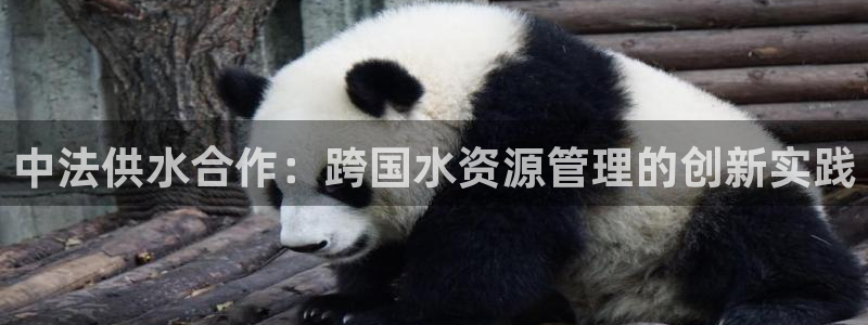 球友会·(QY)官方网站