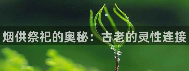 球友会官网登录入口