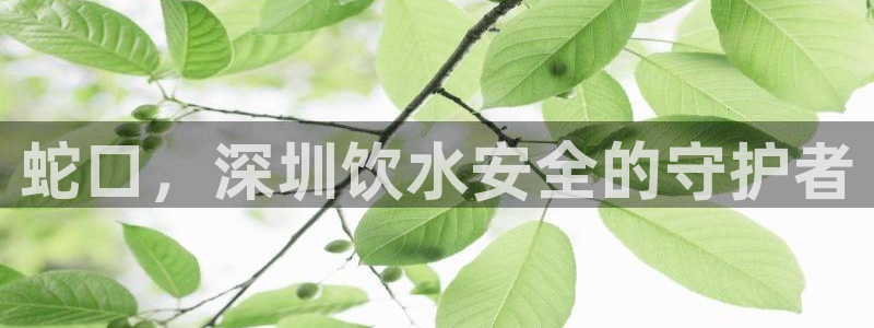 球友会app介绍
