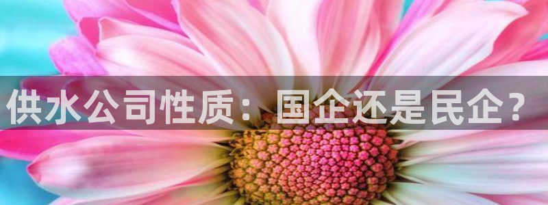 球友会聚餐发言怎么说