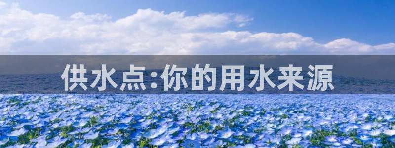 球友会比赛结果查询系统