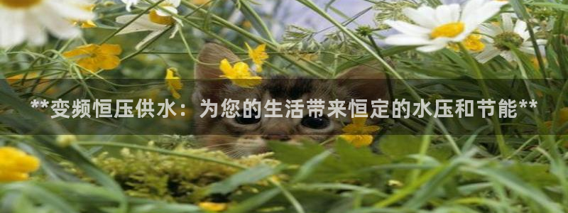 球友会能提现吗