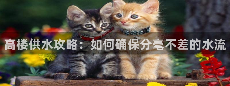 qy球友会体育官下载