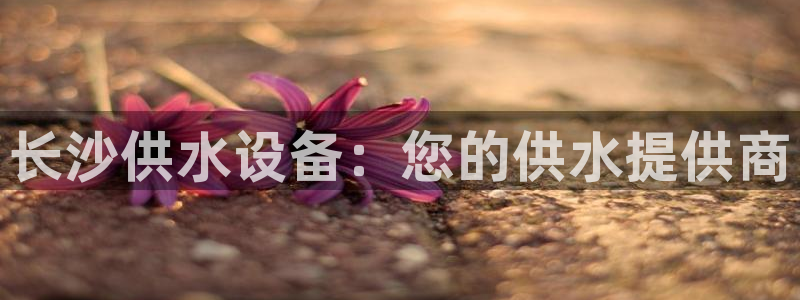 球友会提款不到账