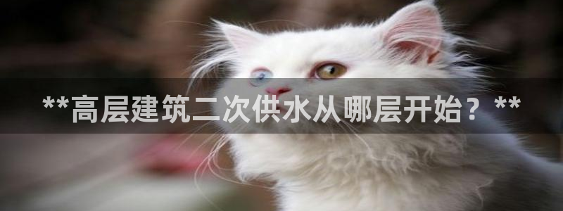 球友会比尔森胜利塔波斯科