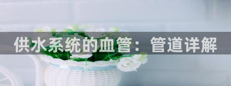 球友会在线登录账号吗安全吗