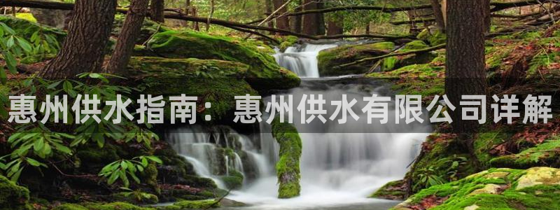 球友会体育app下载官网安卓