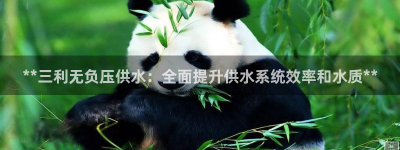 球友会台球俱乐部官网