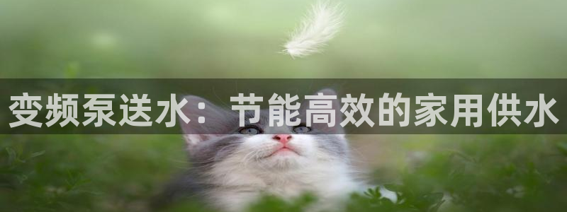 球友会官方网站下载