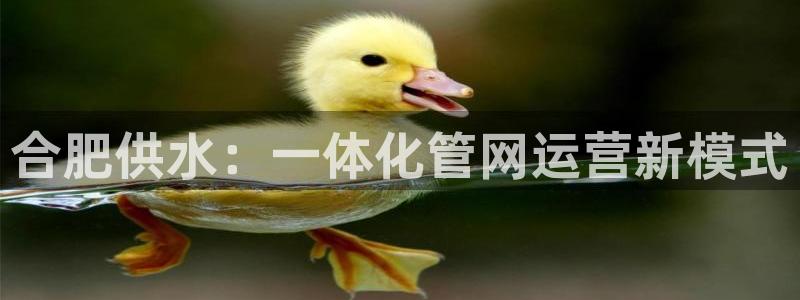 qy球友会体育
