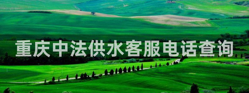 球友会登录地址