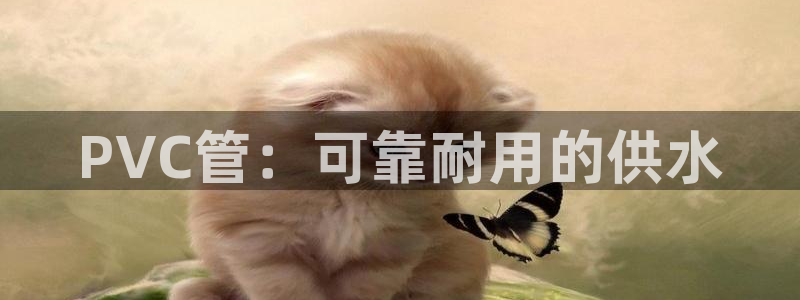 球友会赛程