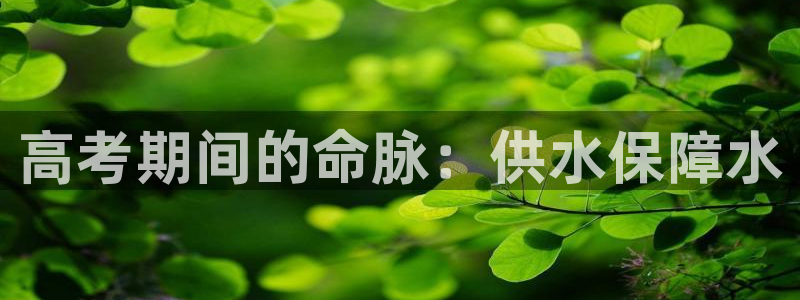 球友会登录网站怎么登录