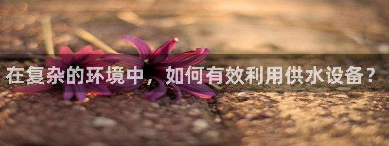 球友会联赛