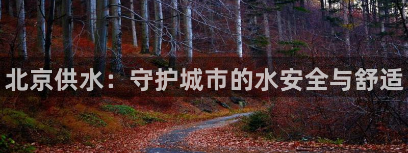 球友会app介绍