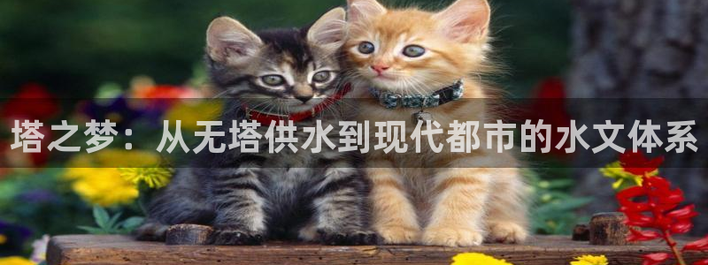 球友会娱乐