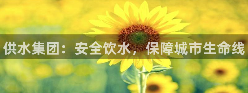 球友会聚餐发言