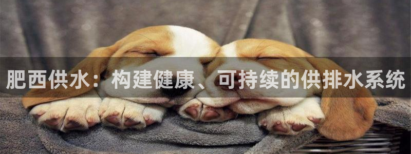 球友会骂客服封号