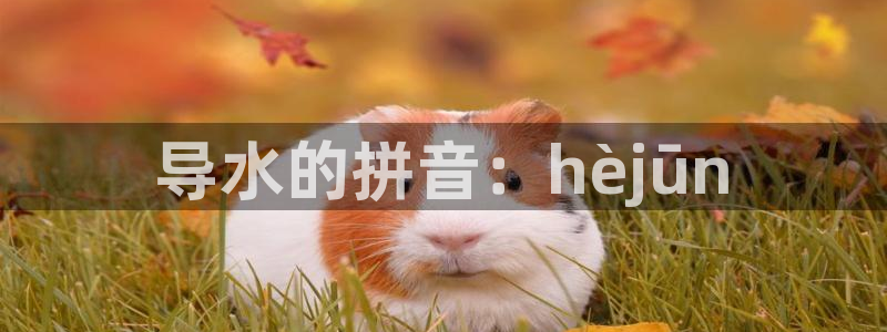 球友会登录不上的原因